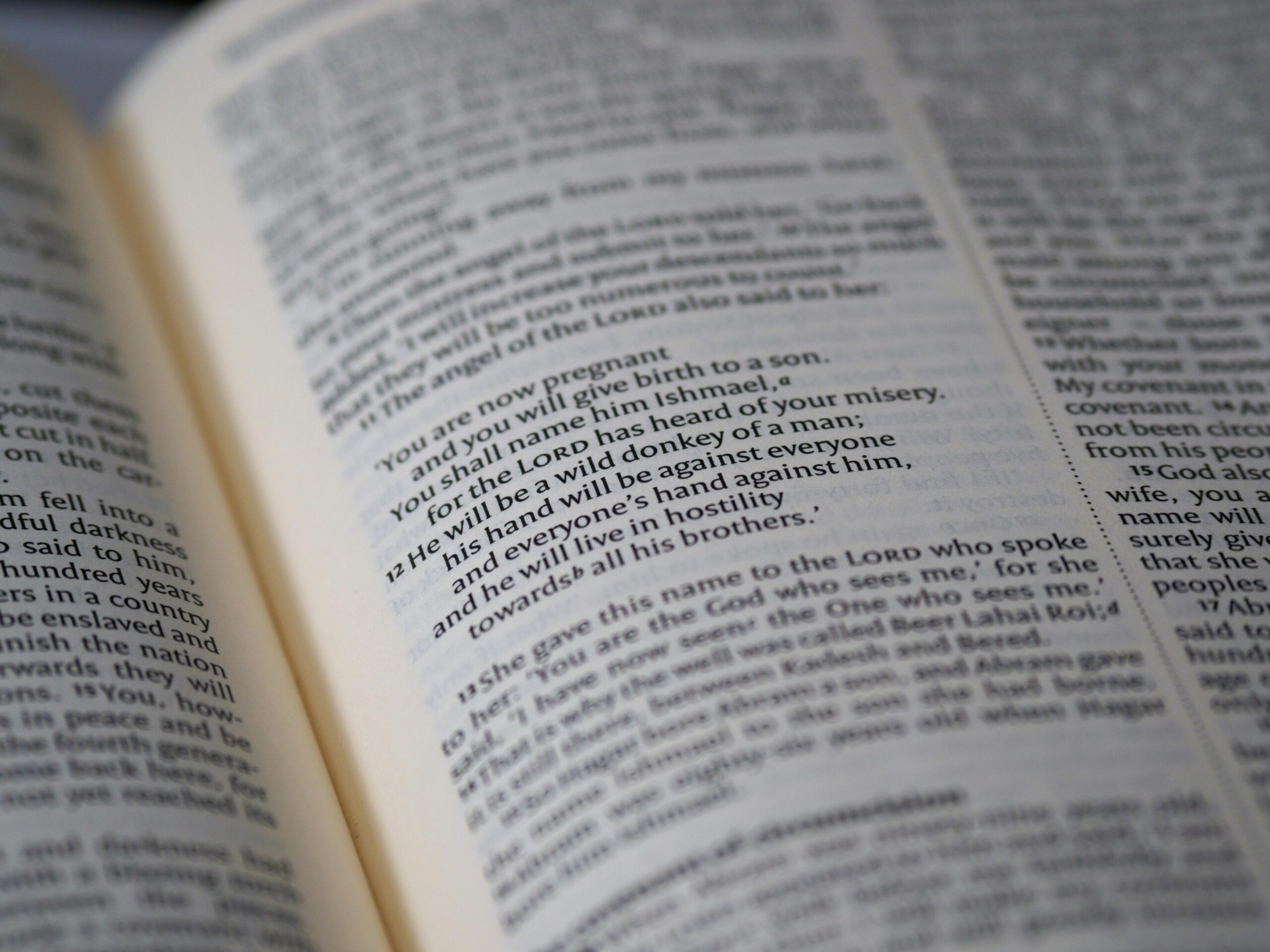 Detailed macro shot of an open Bible showing scripture text and paragraphs.